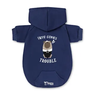 Pet Hoodie | Here comes trouble