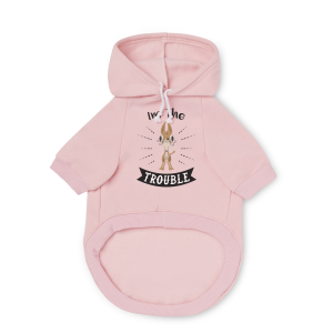 Pet Hoodie
