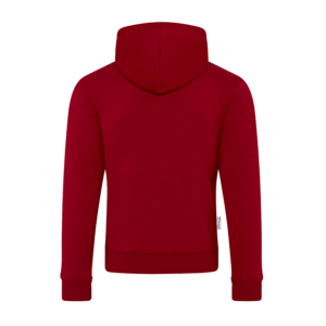 Men Hoodie |  Red