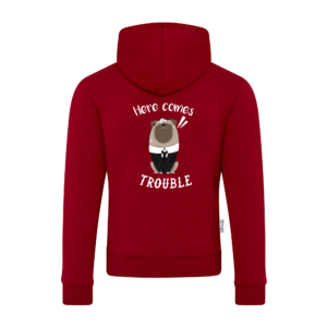 Men Hoodie | 3.  Here comes trouble