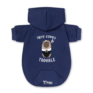 Pet Hoodie | 3.  I'm the trouble
