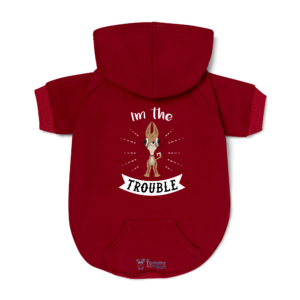 Pet Hoodie | 3.1. Here comes trouble