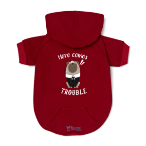 Pet Hoodie | 3.1. Here comes trouble