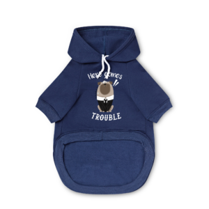 Pet Hoodie | 3.  Here comes trouble