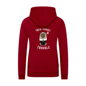Kid Hoodie | 3.  Here comes trouble