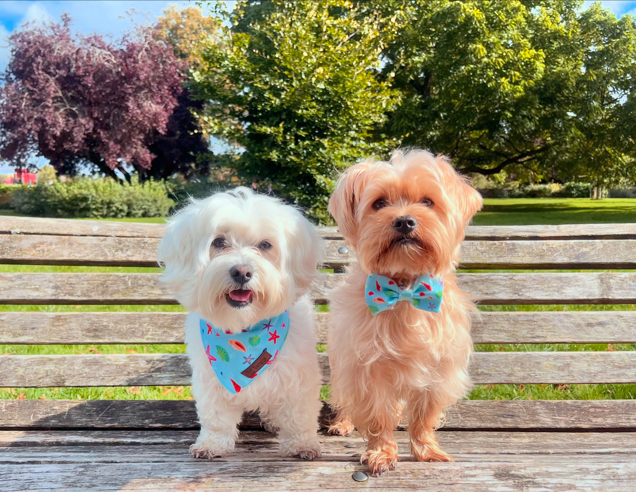 7A5E3249-799D-4823-BD1A-7642AE77B970