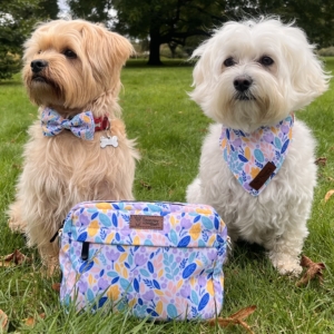Training Bag Bee
