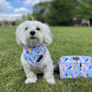 Pet Bandana
