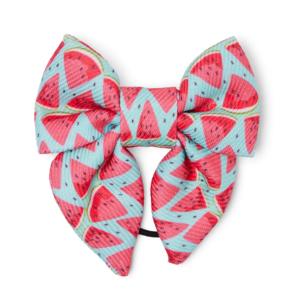Pet Ribbon Watermelon