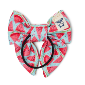 Pet Ribbon Watermelon