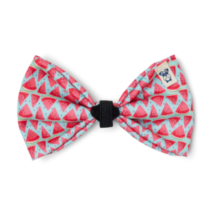 Pet Bow Tie Watermelon