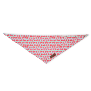 Pet Bandana Watermelon