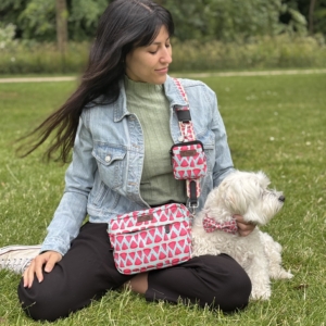 Bow Tie Pet