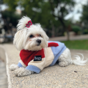 Fleece Jacket Red Pet