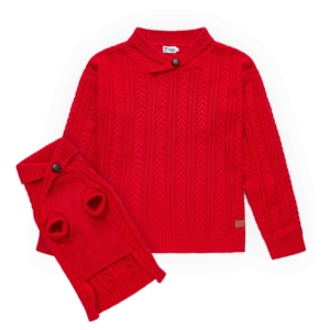Pet Red Knit Button Collar Jumper