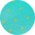 Aqua Mint