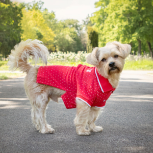 Pet Polo Shirt
