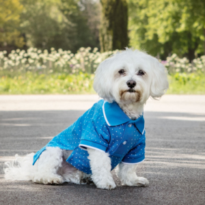 Pet Polo Shirt
